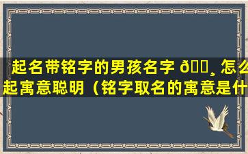 起名带铭字的男孩名字 🕸 怎么起寓意聪明（铭字取名的寓意是什么）